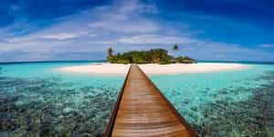 Maldives